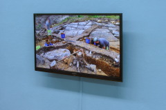 Ein weites Feld, 2020, Nina Torp