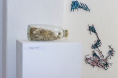 "Freiheit" Ausstellung bei SCOTTY