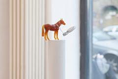 scotty_freiheit_MG_4571_1000px