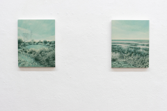 Installation view Night Swimming