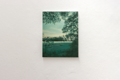 Installation view Night Swimming