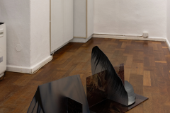 Installation view Night Swimming