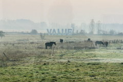 schaum_5436