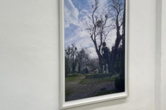schaum_8195