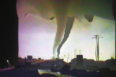 Videostill_LEG-_01_DorisSchmid