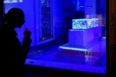 28_Strange-Paradise_Aniol-Kuhnert