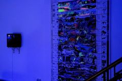 6_Strange-Paradise_Aniol-Kuhnert_1000px