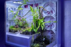 7_Strange-Paradise_Aniol-Kuhnert_1000px